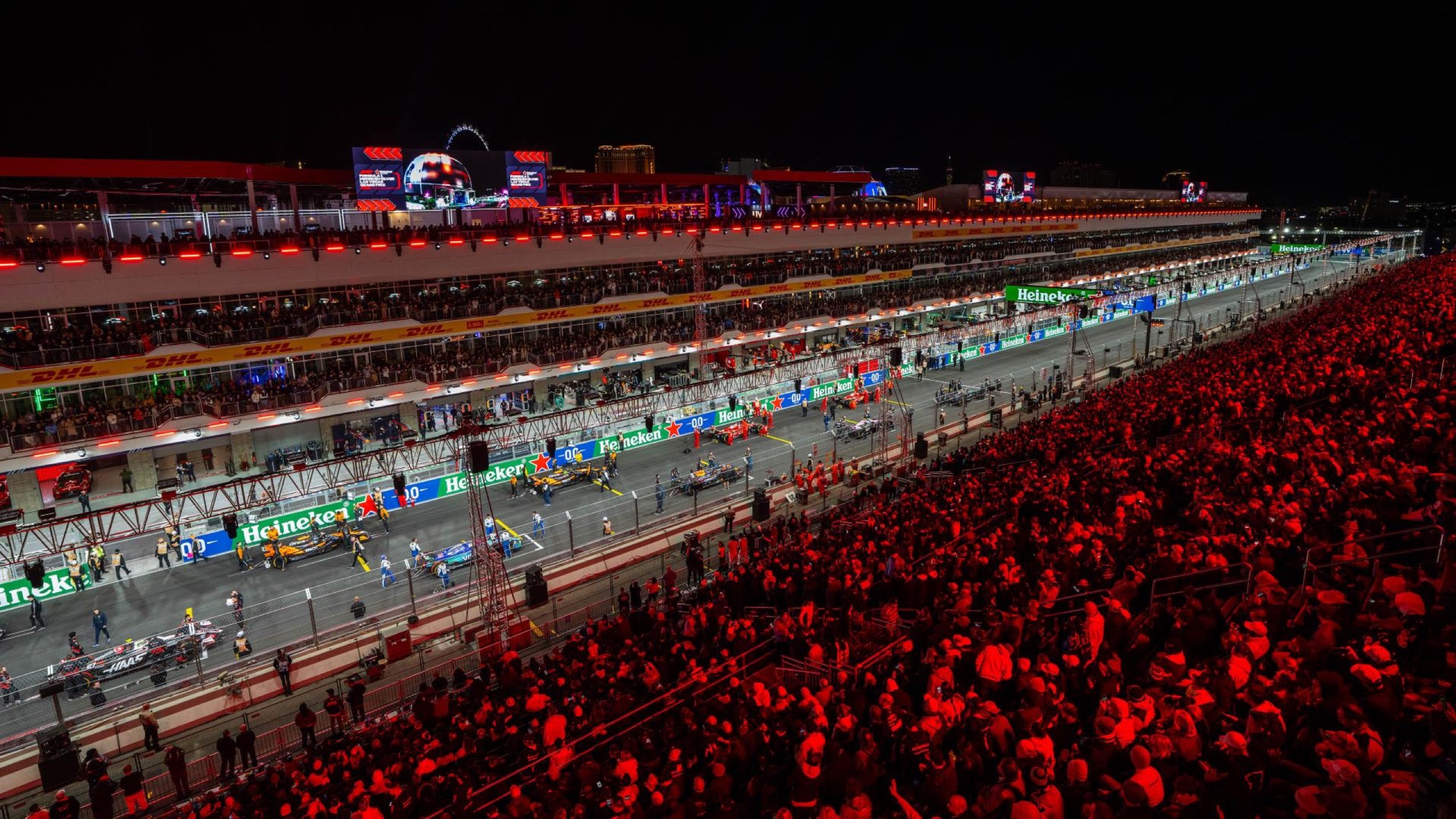 Formula 1 cars lined up on the starting grid at night before packed grandstands at the Las Vegas Grand Prix