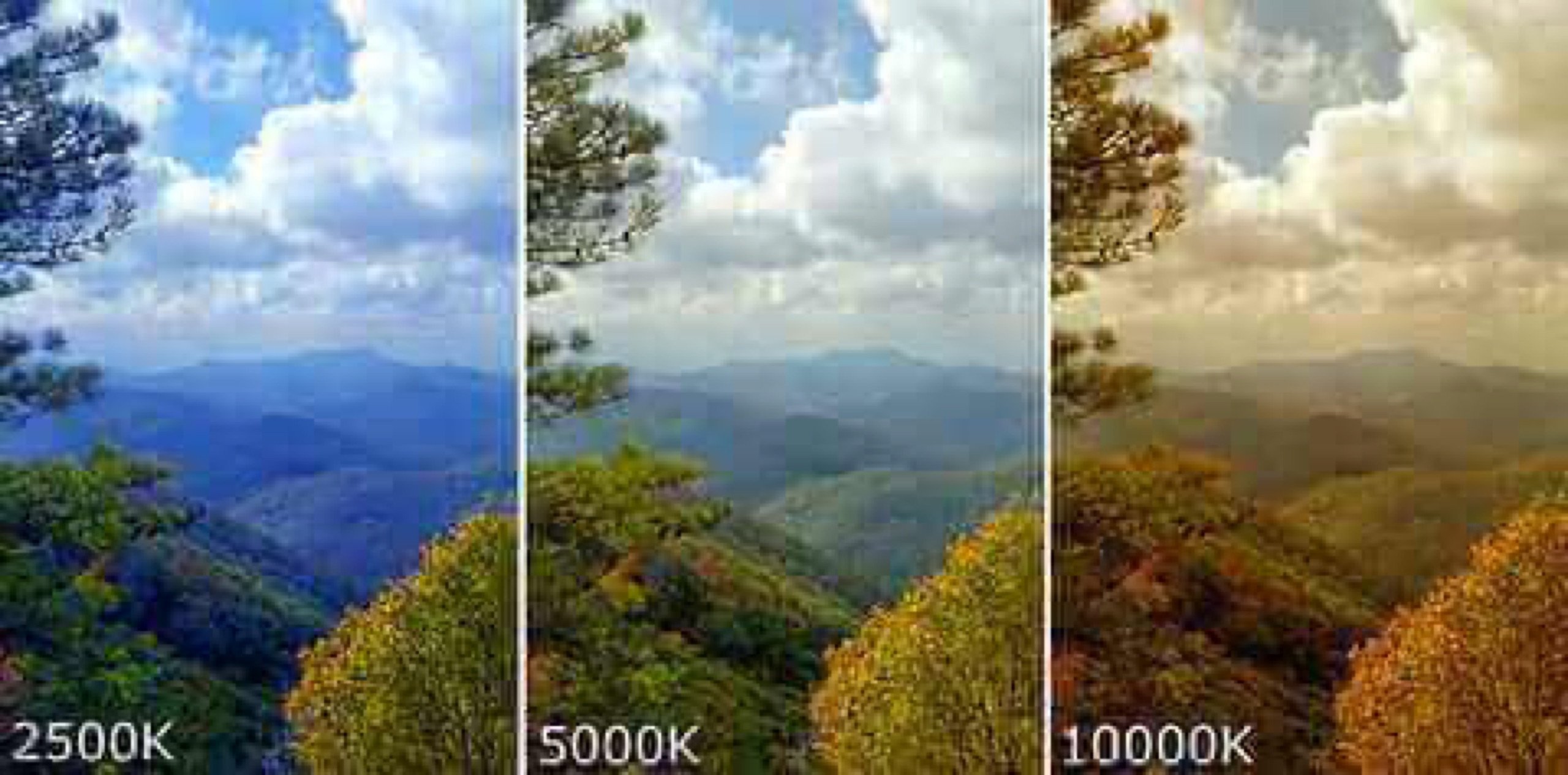 The same scene rendered at 2500K, 5000K, and 10000K color temperature